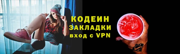 прущие грибы Володарск