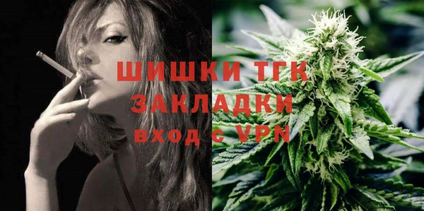 прущие грибы Володарск