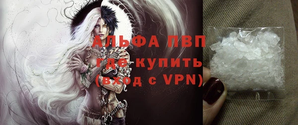 прущие грибы Володарск