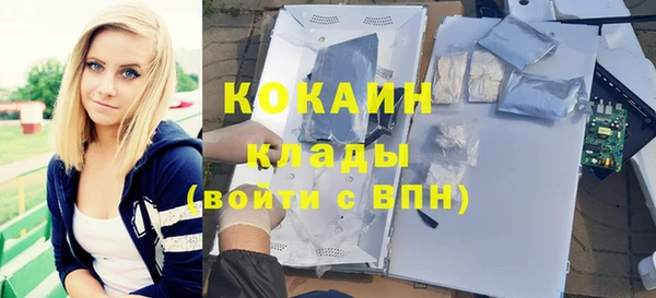 прущие грибы Володарск