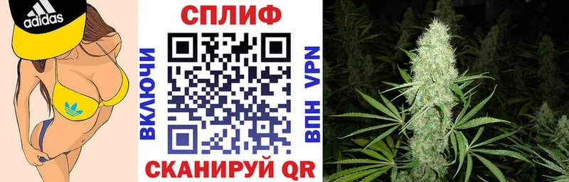 дарнет шоп  Канаш  Канабис OG Kush 